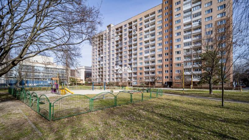 paláriková, zara reality