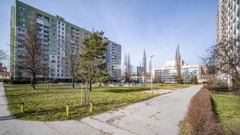 paláriková, zara reality