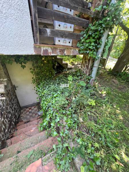 vstup do pivnice