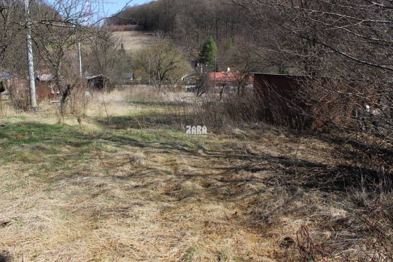Záhrada