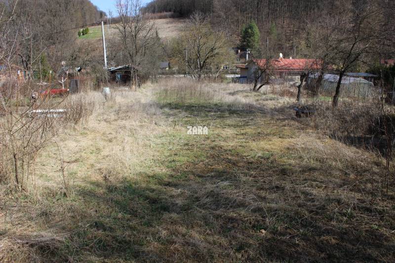Záhrada