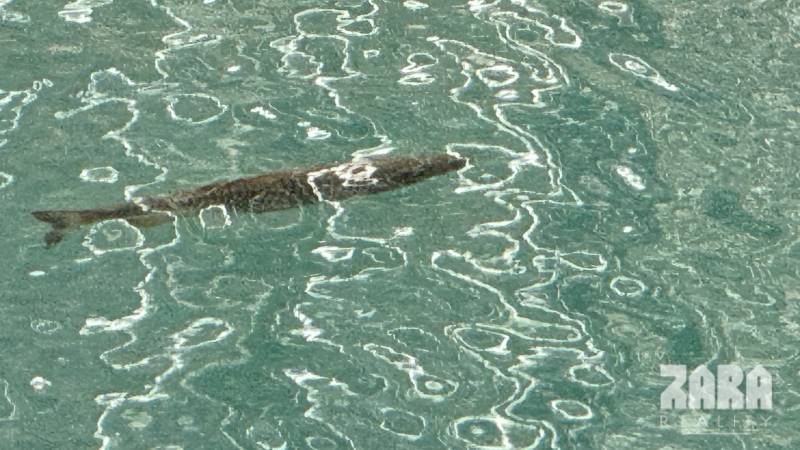 ŠUGOV-ŠUGOVSKÁ DOLINA, INVESTIČNÝ veľkorysý pozemok 3716 m2. 