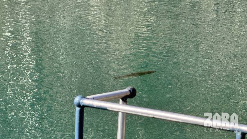 ŠUGOV-ŠUGOVSKÁ DOLINA, INVESTIČNÝ veľkorysý pozemok 3716 m2. 