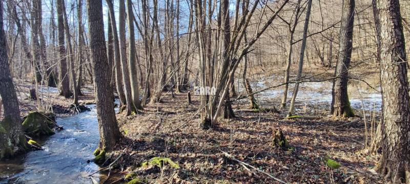 ŠUGOV-ŠUGOVSKÁ DOLINA, INVESTIČNÝ veľkorysý pozemok 3716 m2. 