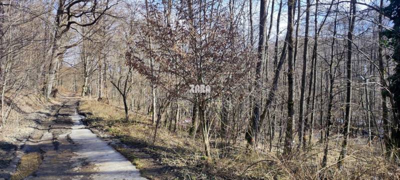 ŠUGOV-ŠUGOVSKÁ DOLINA, INVESTIČNÝ veľkorysý pozemok 3716 m2. 