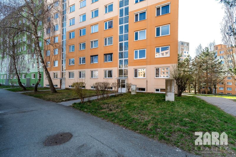 Zdenka8.jpg