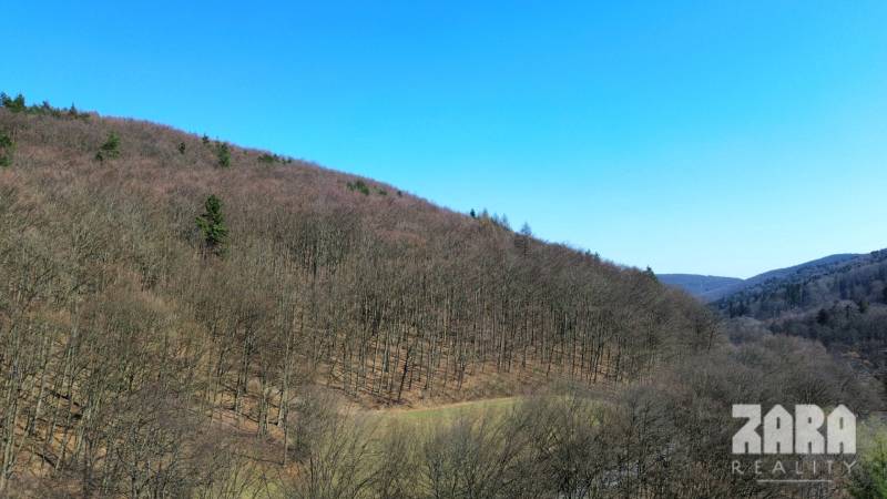 SEVER -  ČERMEĽ - ALPINKA. DREVENÁ rekreačná CHATA  zast. plocha 43 m2