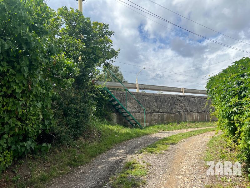 JUH - ALEJOVA pekná záhrada na odstúpenie užívateľských práv. 386 m2.