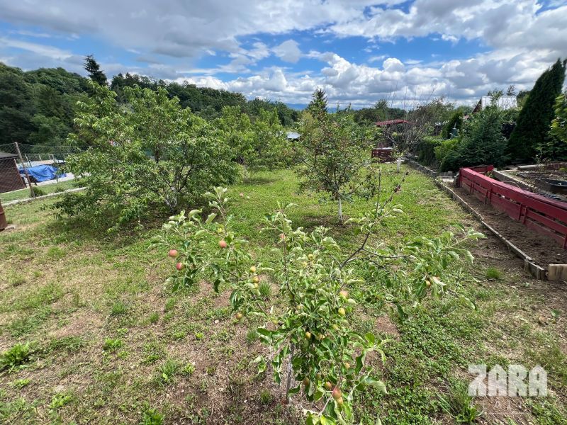 JUH - ALEJOVA pekná záhrada na odstúpenie užívateľských práv. 386 m2.